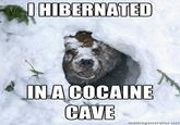 I Fucking Love Cocaine / Cocaine Bear