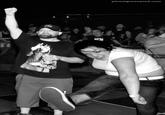 Mosh Girl (Moshzilla)