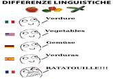 Differenze Linguistiche