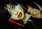 Sleeveface