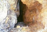 Ted the Caver