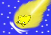 Speedycat