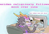 Moon Over June