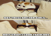 LOLcats
