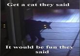 It Will Be Fun, They Said