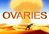 OVARIES