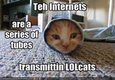 LOLcats