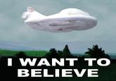 I Want to Believe