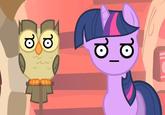 My Little Pony: Friendship is Magic