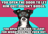 Dickhead Dog
