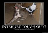 Internet Tough Guy