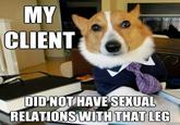 Lawyer Dog
