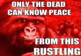 Only The Dead Can Know Peace From This Evil