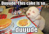 Birthday Dog