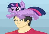 Fluffy Ponies