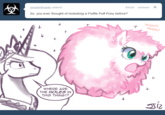 Fluffy Ponies