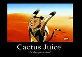 Cactus Juice