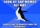 Socially Awkward Penguin