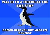 Socially Awkward Penguin