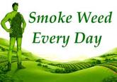 Smoke Weed Everyday