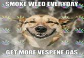 Smoke Weed Everyday