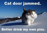 Bear Grylls / Better Drink My Own Piss