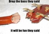 It Will Be Fun, They Said