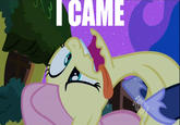 I Came