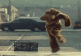 Breakdancing Bear
