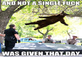 And Not a Single Fuck Was Given That Day