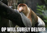 Waiting for OP/OP Will Surely Deliver