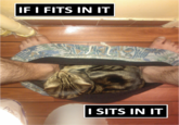 If It Fits I Sits