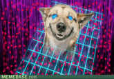 Stoner Dog