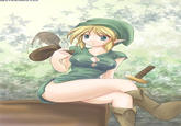 Link & Zelda Confusion / What if Zelda was a girl?