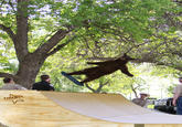 Falling Bear