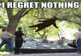 Falling Bear