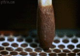 Slow Motion