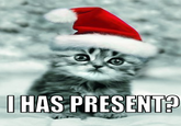 LOLcats