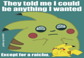 They Told Me I Could Be Anything I Wanted