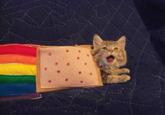 Nyan Cat / Pop Tart Cat
