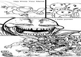 Trollbait / Nobody is Right