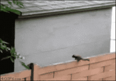 FAIL