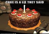 The Cake Is a Lie