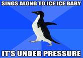 Socially Awkward Penguin