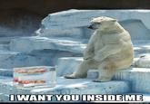 Apples Bear