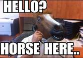 Horse Head Mask