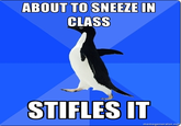 Socially Awkward Penguin