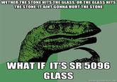 Philosoraptor