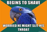 Paranoid Parrot
