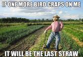 Scarecrow
